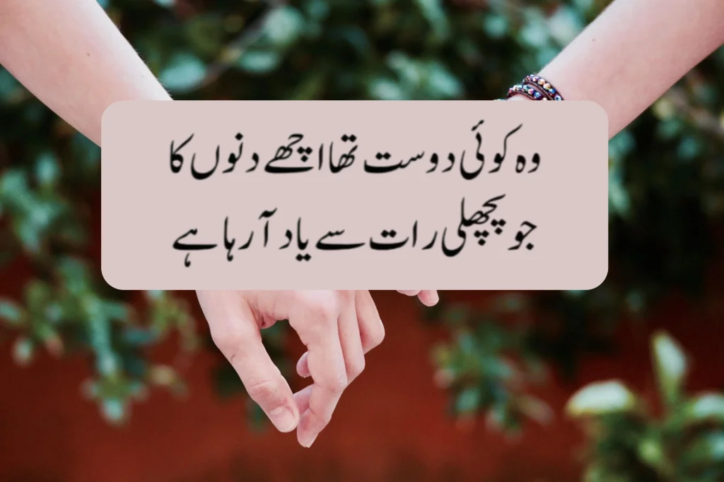 Friendship Quotes in Urdu