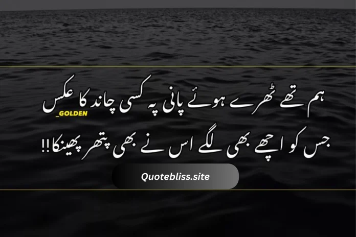 Attitude Personality Quotes In Urdu